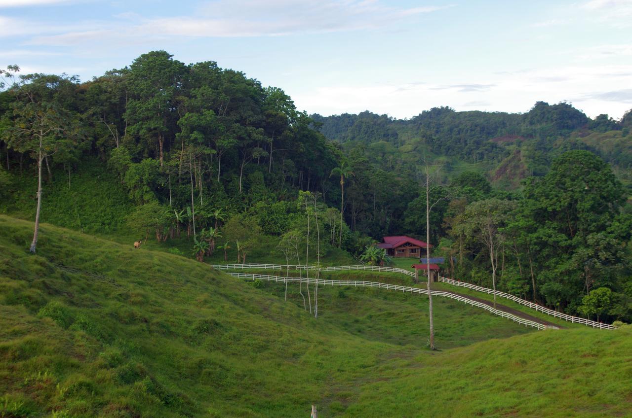 Finca Tres Equis - Farm And Forest Exterior foto